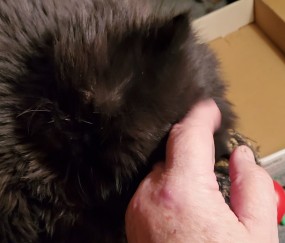 九游体育入口-訧~??5(油5L是多少公斤)