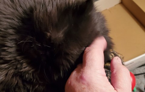 九游体育入口-訧~??5(油5L是多少公斤)