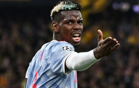 九游体育-转会期意甲焦点战，布鲁克林篮网豪取连胜，信心回归，训练强度明显提升的简单介绍