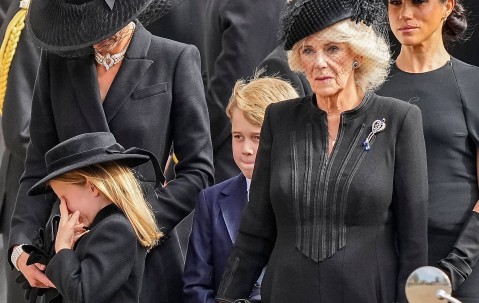 九游体育官方网站-夏洛特黄蜂训练开放日；赛后官宣签约引欢呼；欧联在即；身体对抗强度拉满的简单介绍