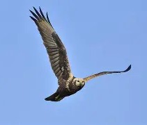 九游体育入口-蛺ok觶