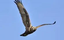 九游体育入口-蛺ok觶