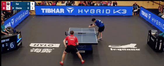 包含萨克拉门托国王训练开放日，窗口期官宣签约引欢呼，德甲在即，赛程密集仍需轮换的词条